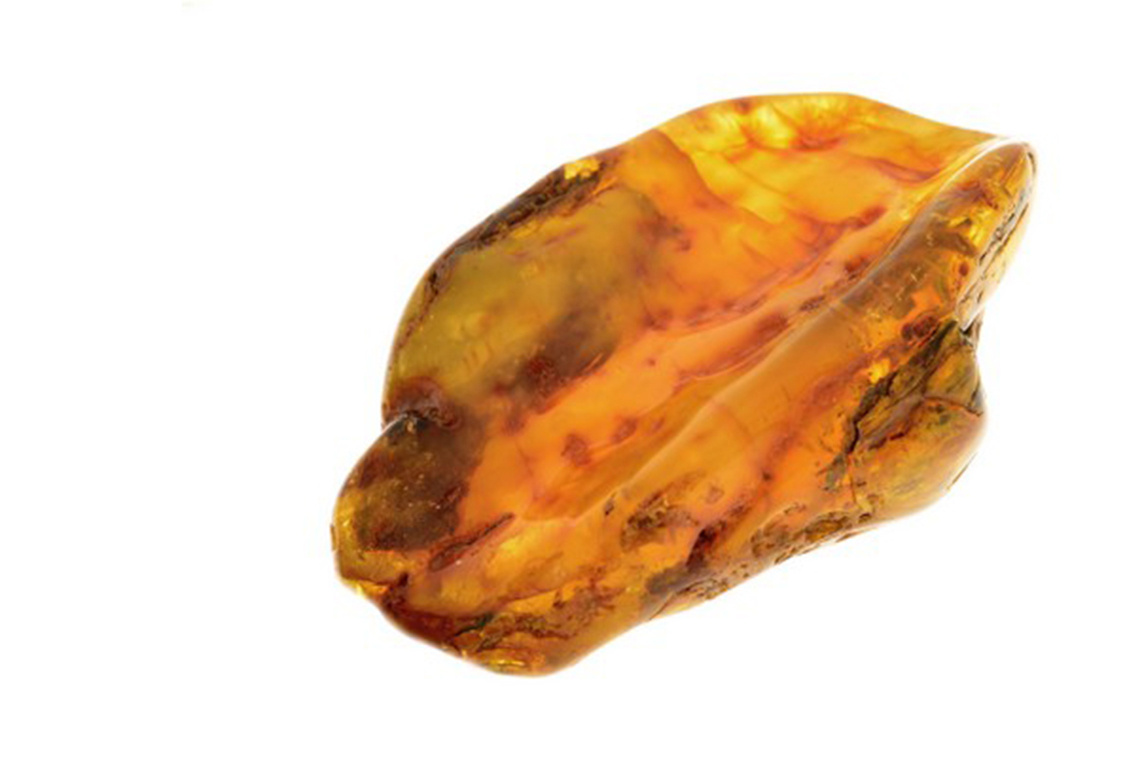 Amber - a closer look - GeoDan Gemstones